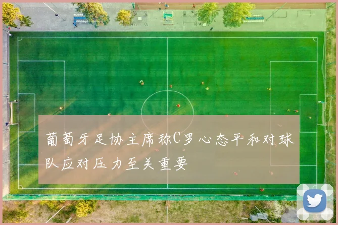 葡萄牙足协主席称C罗心态平和对球队应对压力至关重要